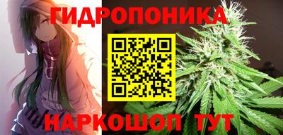дмт Бузулук