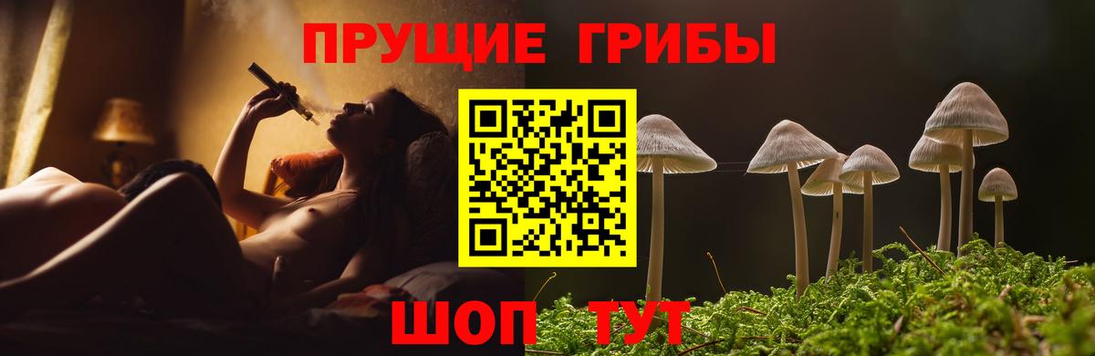 Кузнецк  Галлюциногенные грибы мицелий  Вход с VPN 
